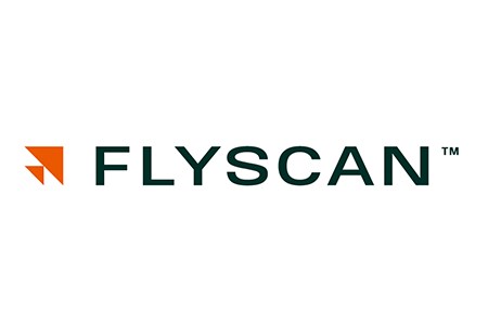 Flyscan