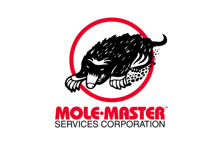 Mole-Master