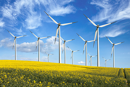 Bute Energy appoints ERM to support development of Welsh wind energy project